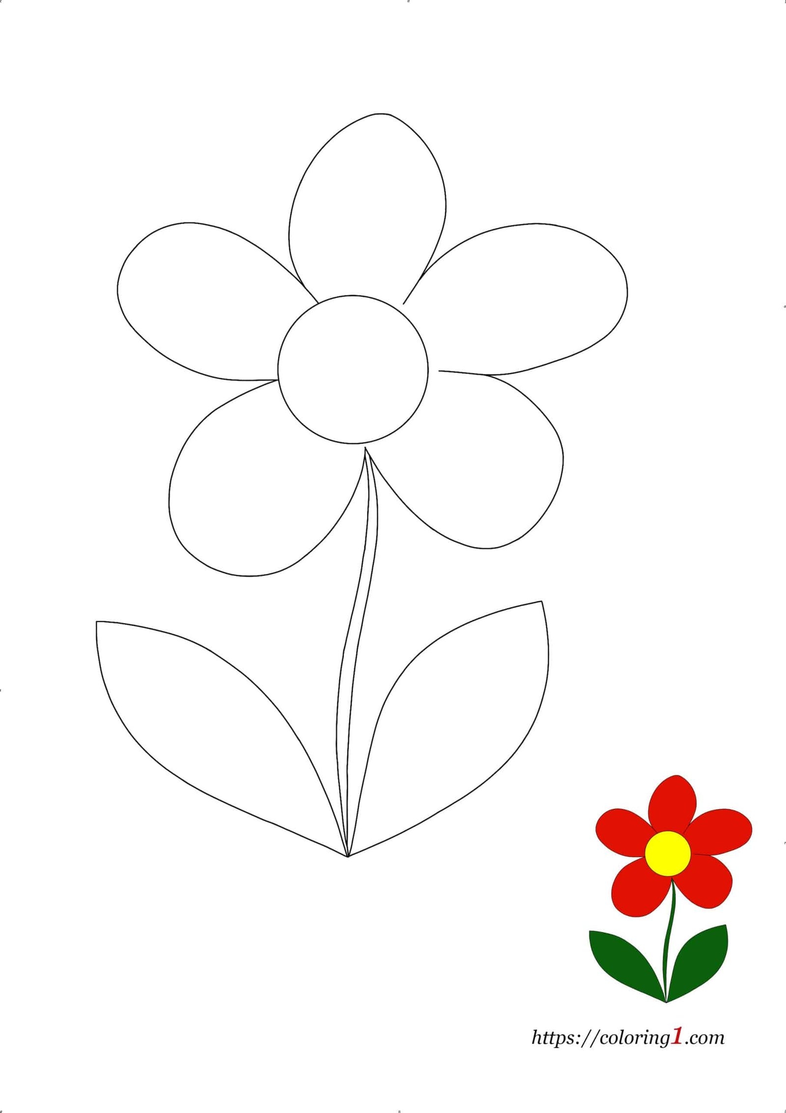 5 Petals Flower Coloring Pages 2 Free Coloring Sheets 2021 5 Petals Flower Coloring Pages 2 Free Coloring Sheets 2021