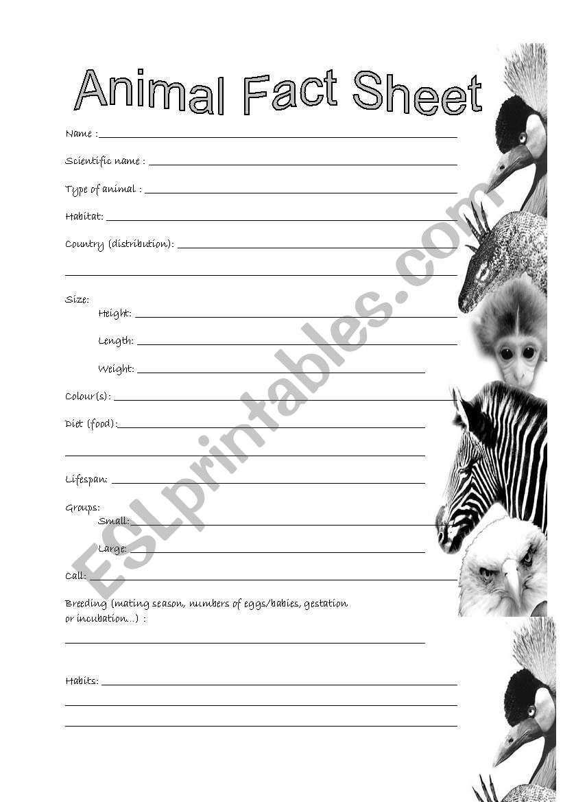 Animal Fact Sheet ESL Worksheet By Marie France