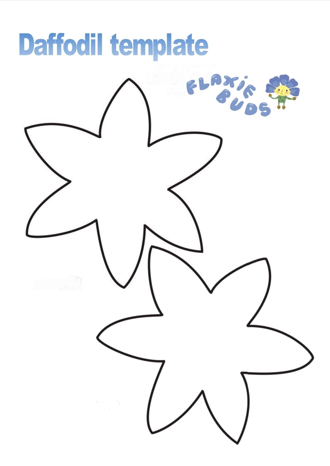 Daffodil Template Irish Linen Centre U0026 Lisburn Museum