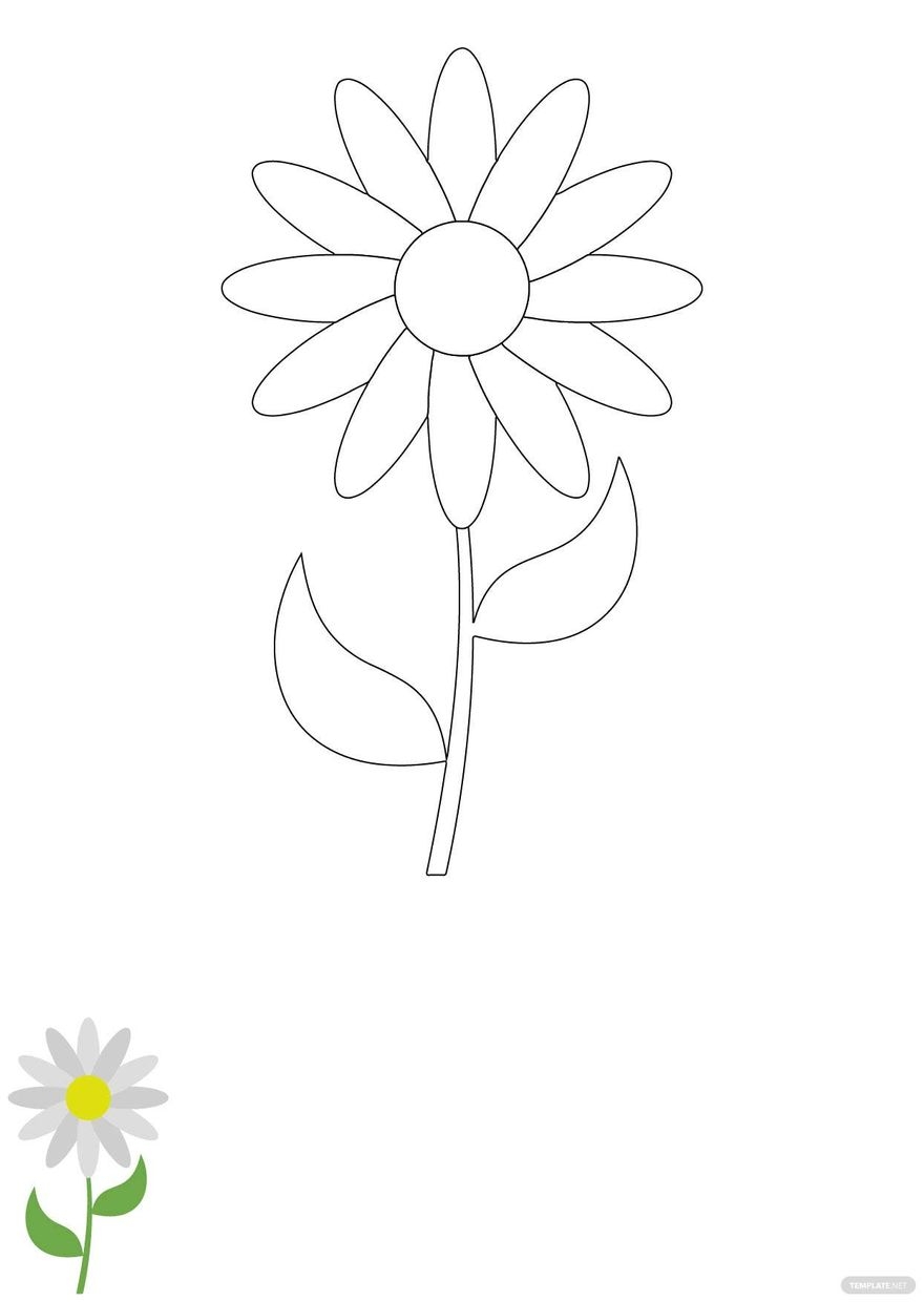 Daisy Flower Coloring Page In JPG EPS PDF Download Template Daisy Flower Coloring Page In JPG EPS PDF Download Template