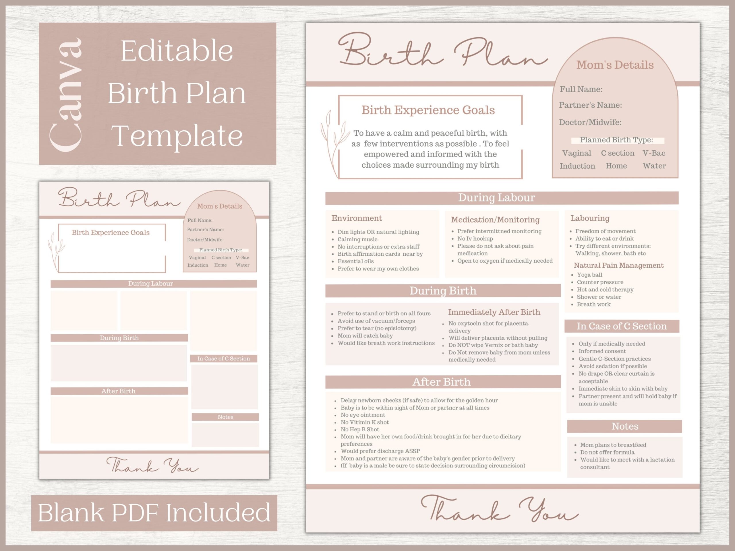 Editable Birth Plan Template Printable Birthing Plan Labour And Delivery Preferences Template Etsy Editable Birth Plan Template Printable Birthing Plan Labour And Delivery Preferences Template Etsy