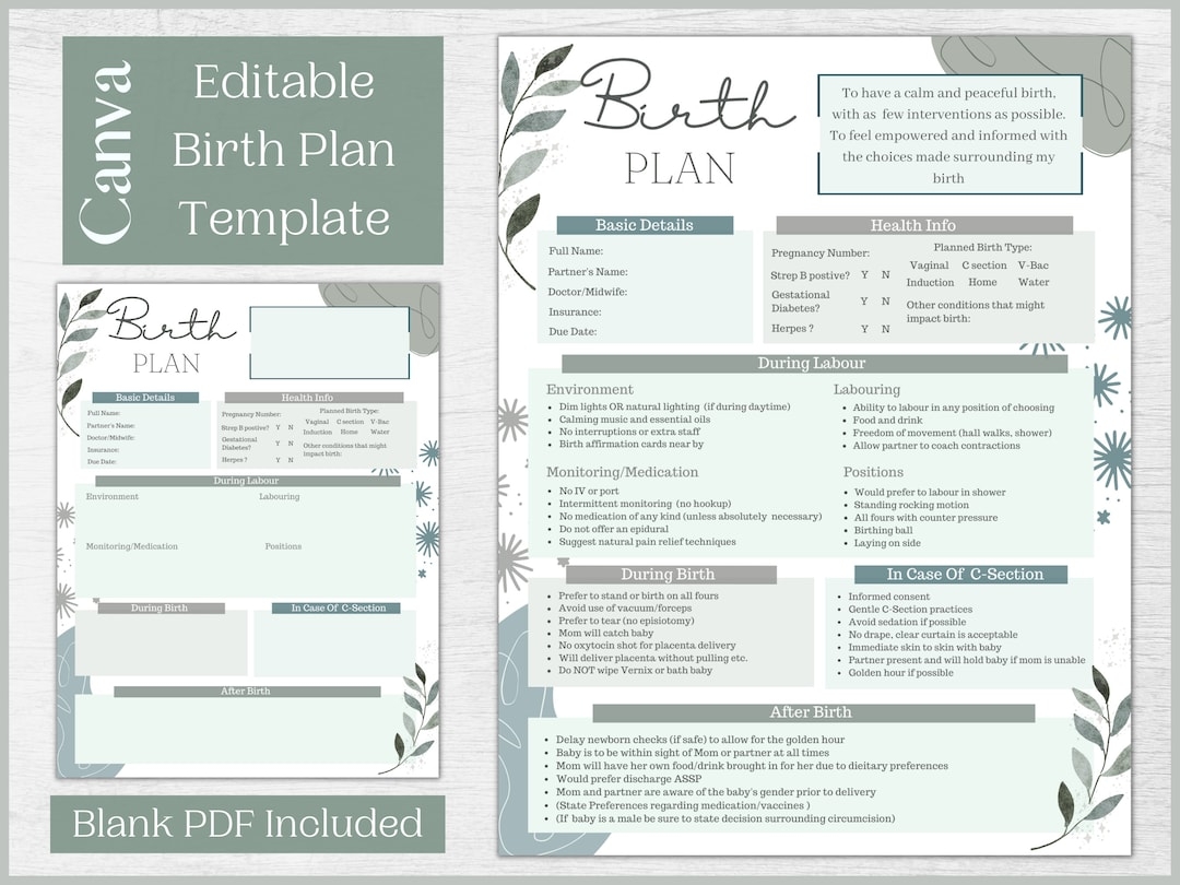 Editable Birth Plan Template Printable Birthing Plan Labour And Delivery Preferences Template Etsy