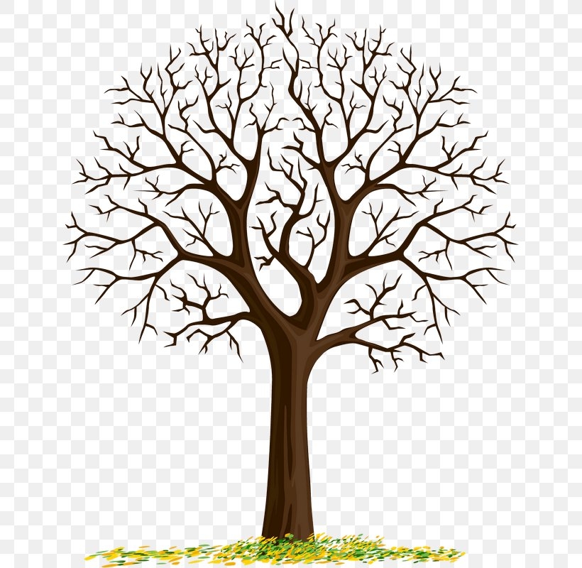 Fingerprint Tree Template Wedding Clip Art PNG 643x800px Fingerprint Black And White Branch Data Finger Download