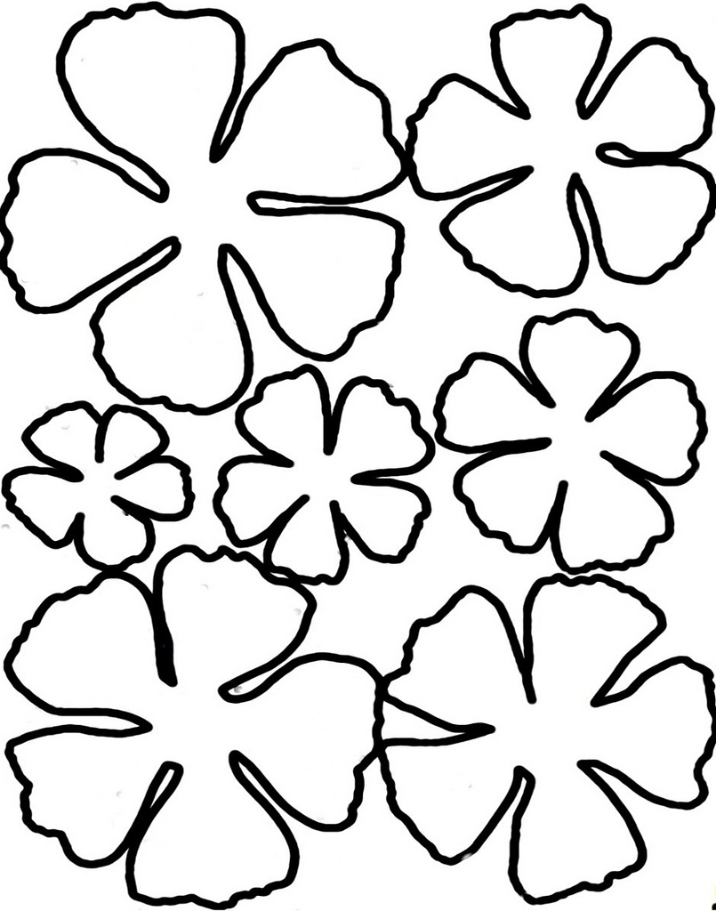 Flower Templates Printable Free