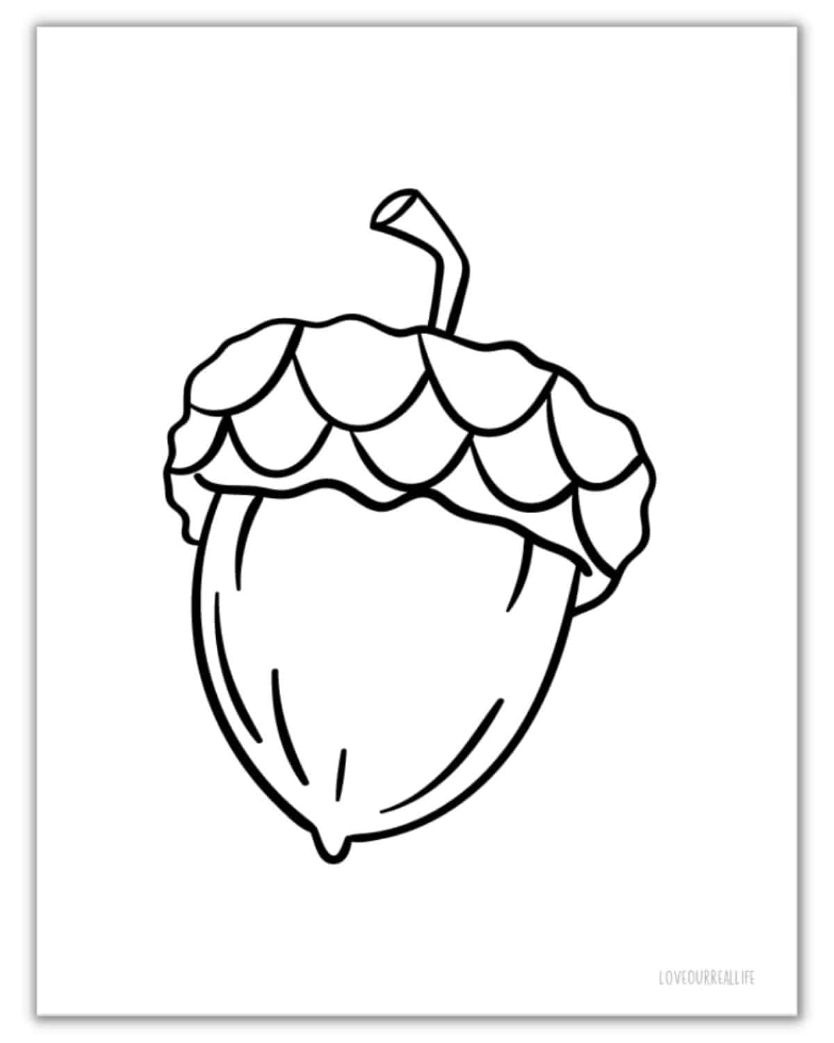 Free Acorn Template Printables Acorn Shapes For Crafts Love 