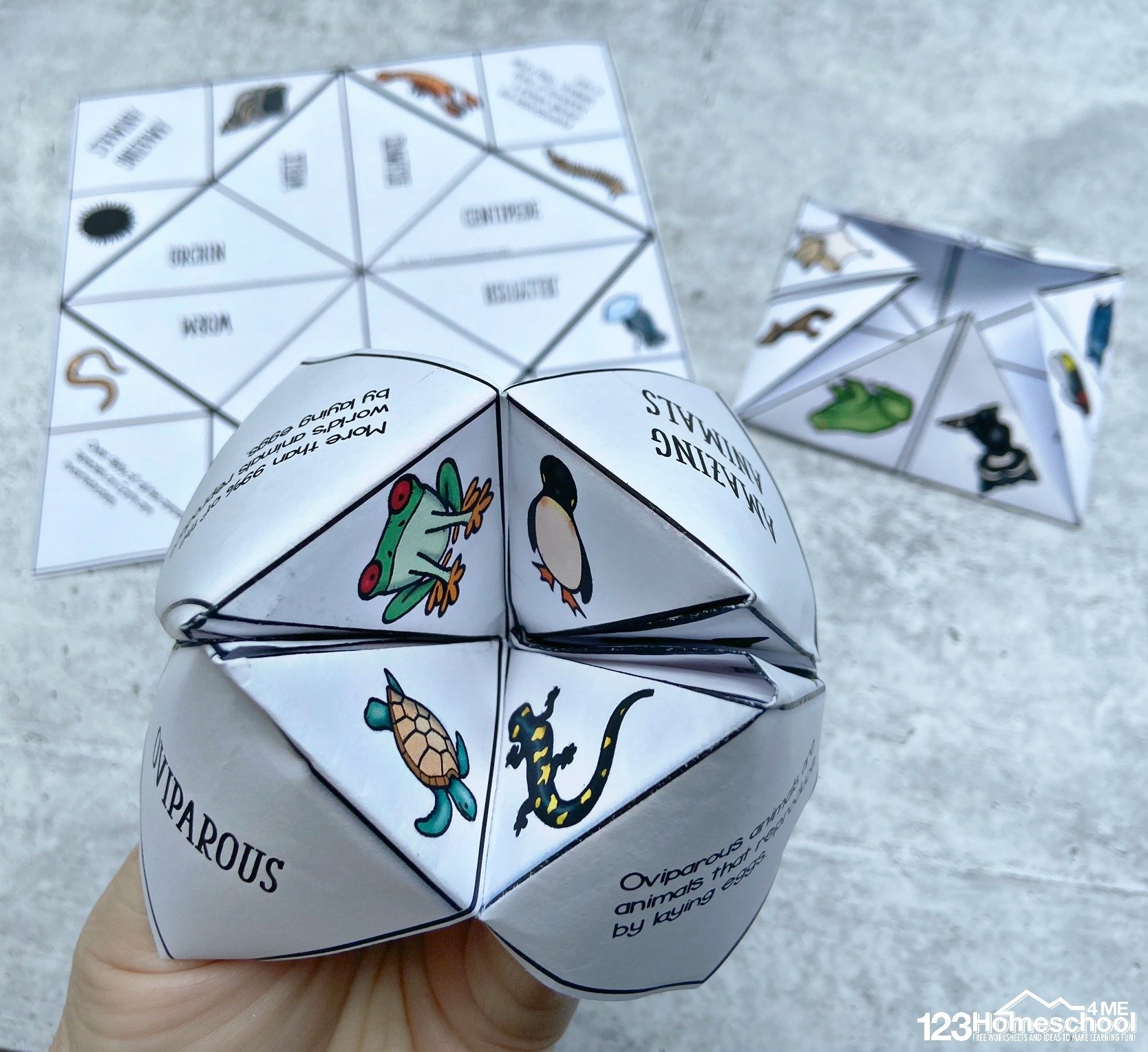  FREE Animal Classifications For Kids Cootie Catchers Activity