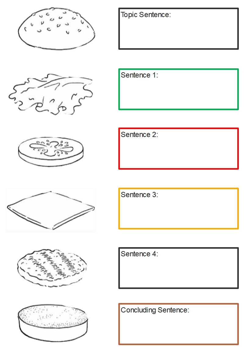 Free Editable Hamburger Paragraph Examples EdrawMax Online