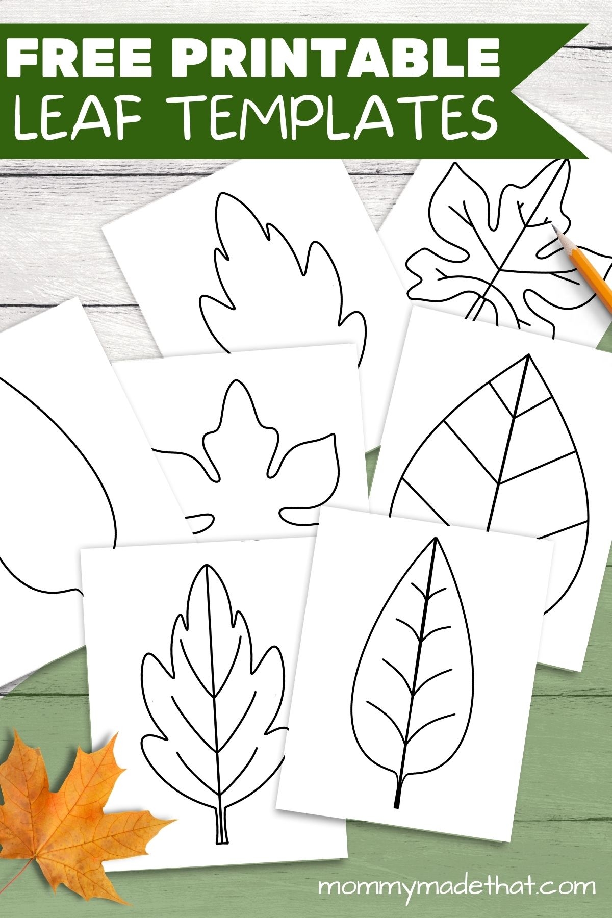 Free Leaf Templates U0026 Outlines Tons Of Printables Worksheets Library