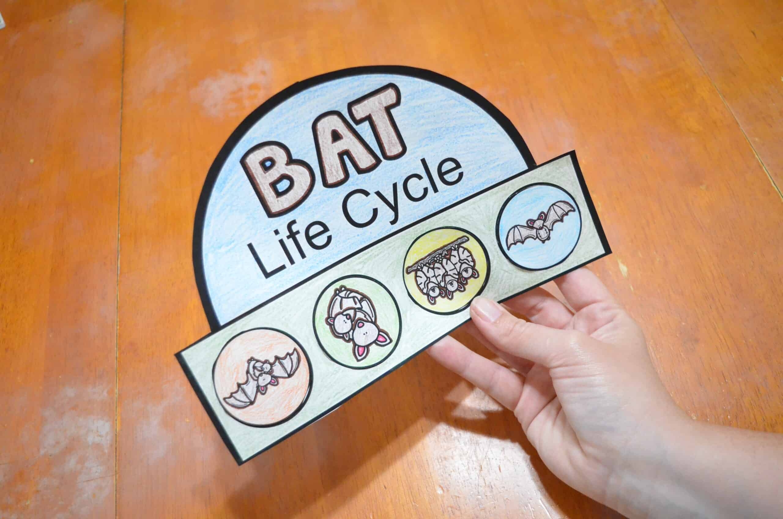 Free Printable Bat Life Cycle Hat Template Learning Resource For Kids