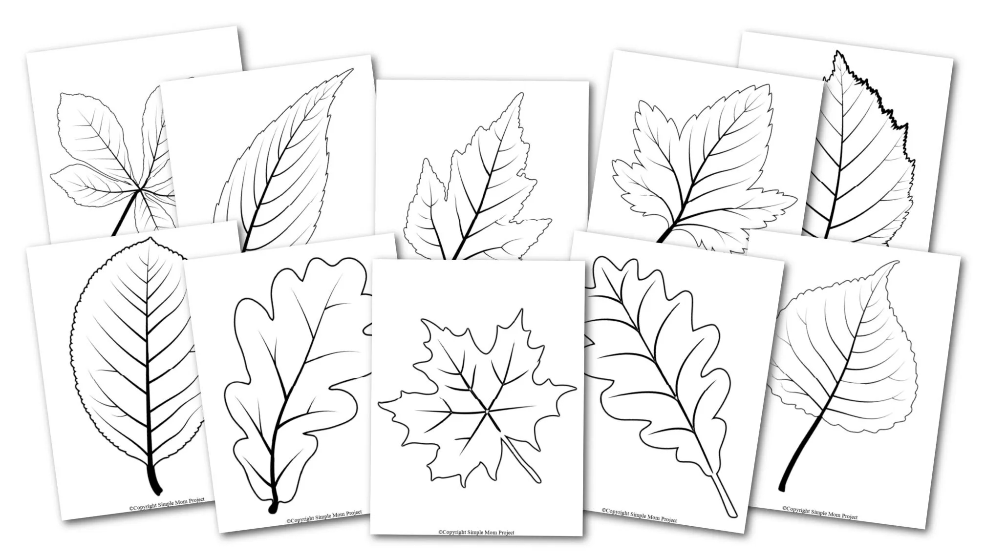 Fall Leaf Template Free Printable
