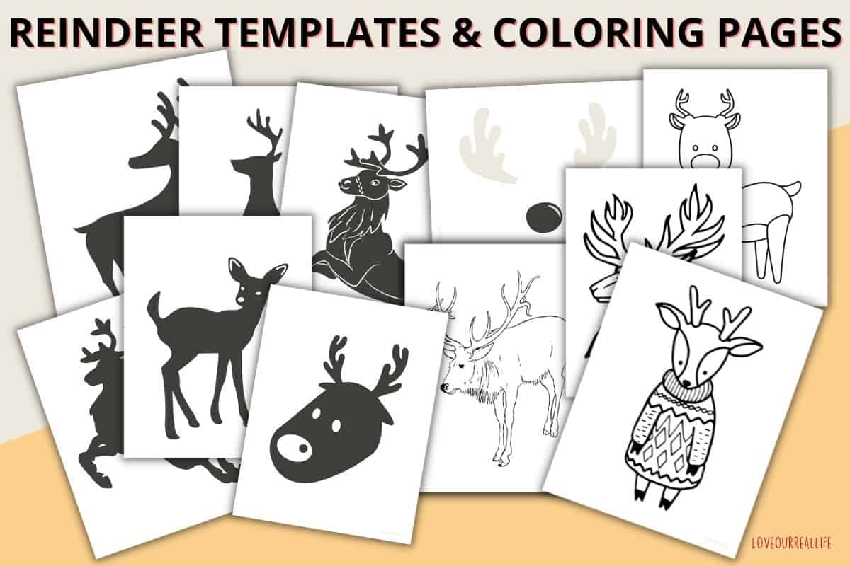 FREE Printable Reindeer Template Paper Craft For Kids Love Our Real Life