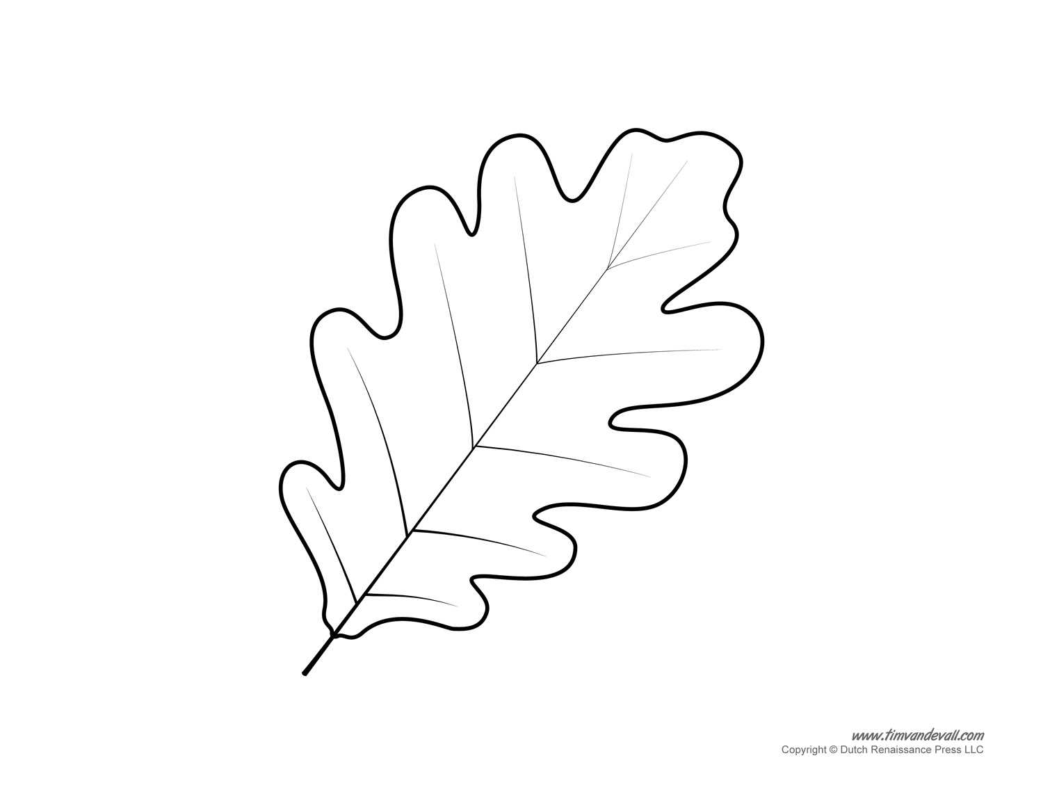Leaf Templates U0026 Leaf Coloring Pages For Kids Leaf Printables Leaf Templates U0026 Leaf Coloring Pages For Kids Leaf Printables