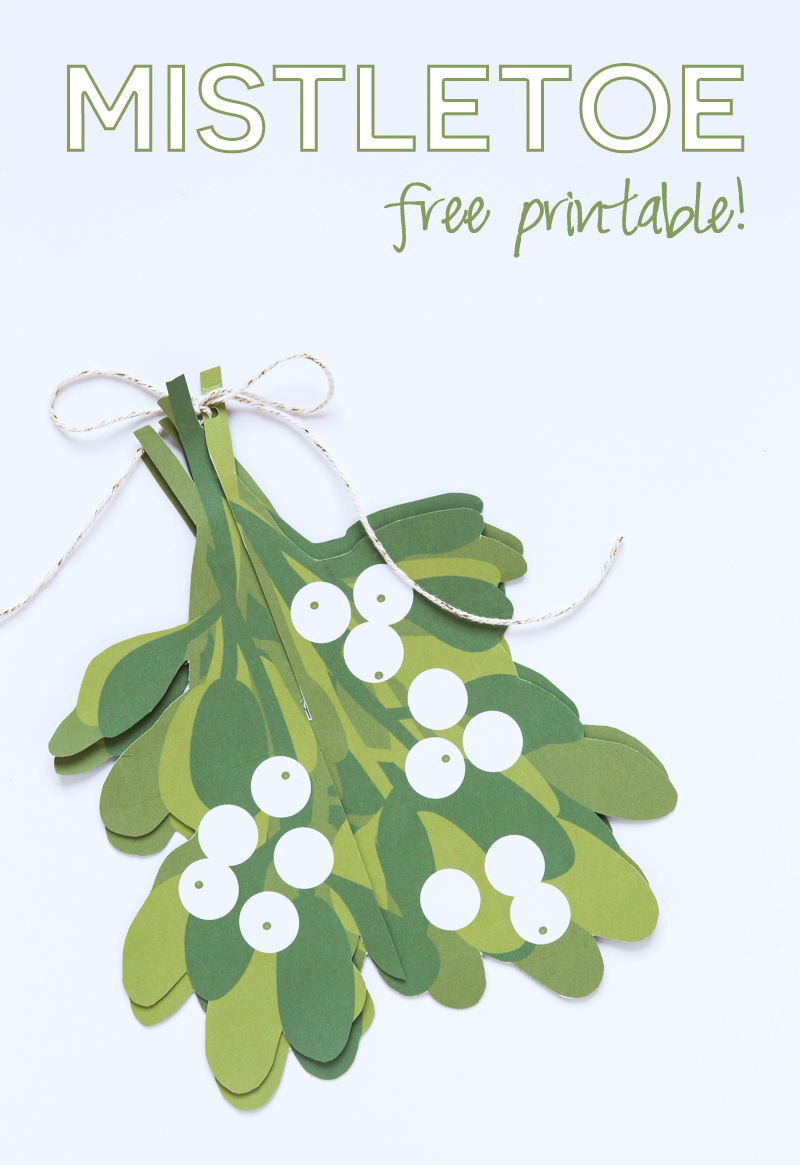 Make An Easy Mistletoe Ball Paging Supermom