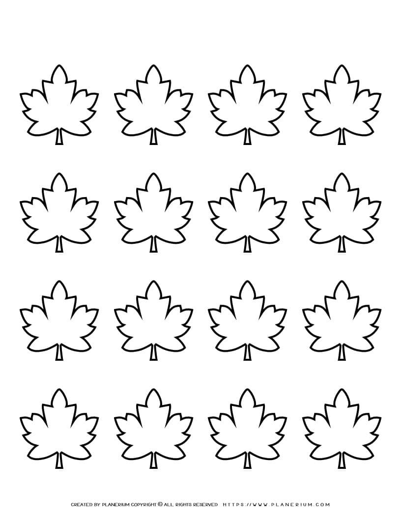 Maple Leaves Template Sixteen Leaves Planerium