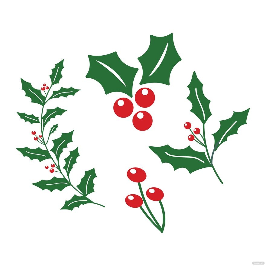 Mistletoe Vector In Illustrator JPG SVG EPS PNG Download Template 