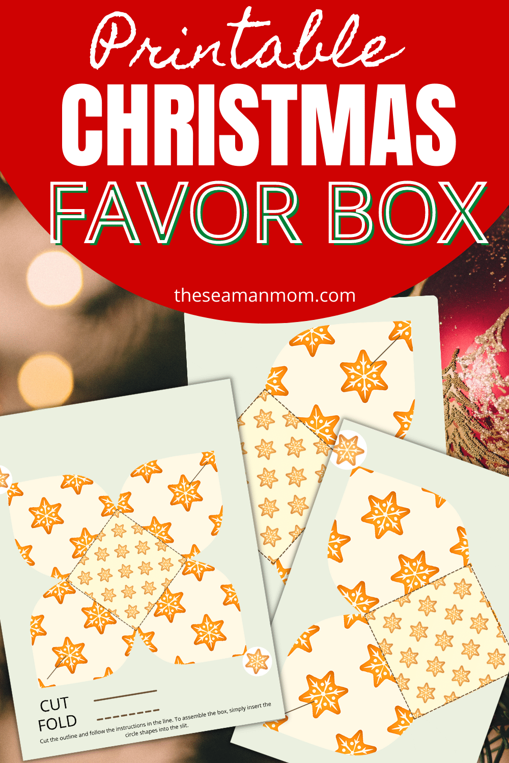 PRINTABLE BOX TEMPLATE For Christmas Easy Peasy Creative Ideas