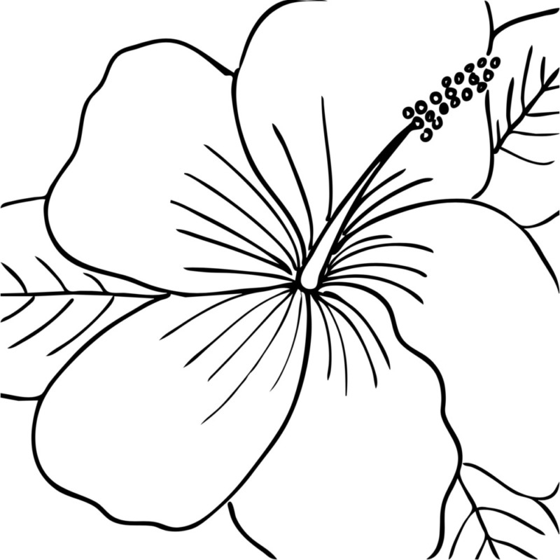 Printable Canvas Painting Templates Free Printable Party Favors