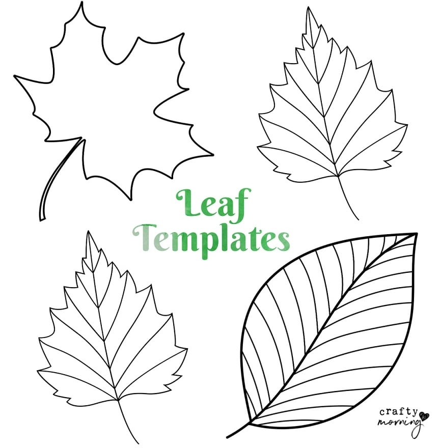 Printable Leaf Outline Templates Crafty Morning