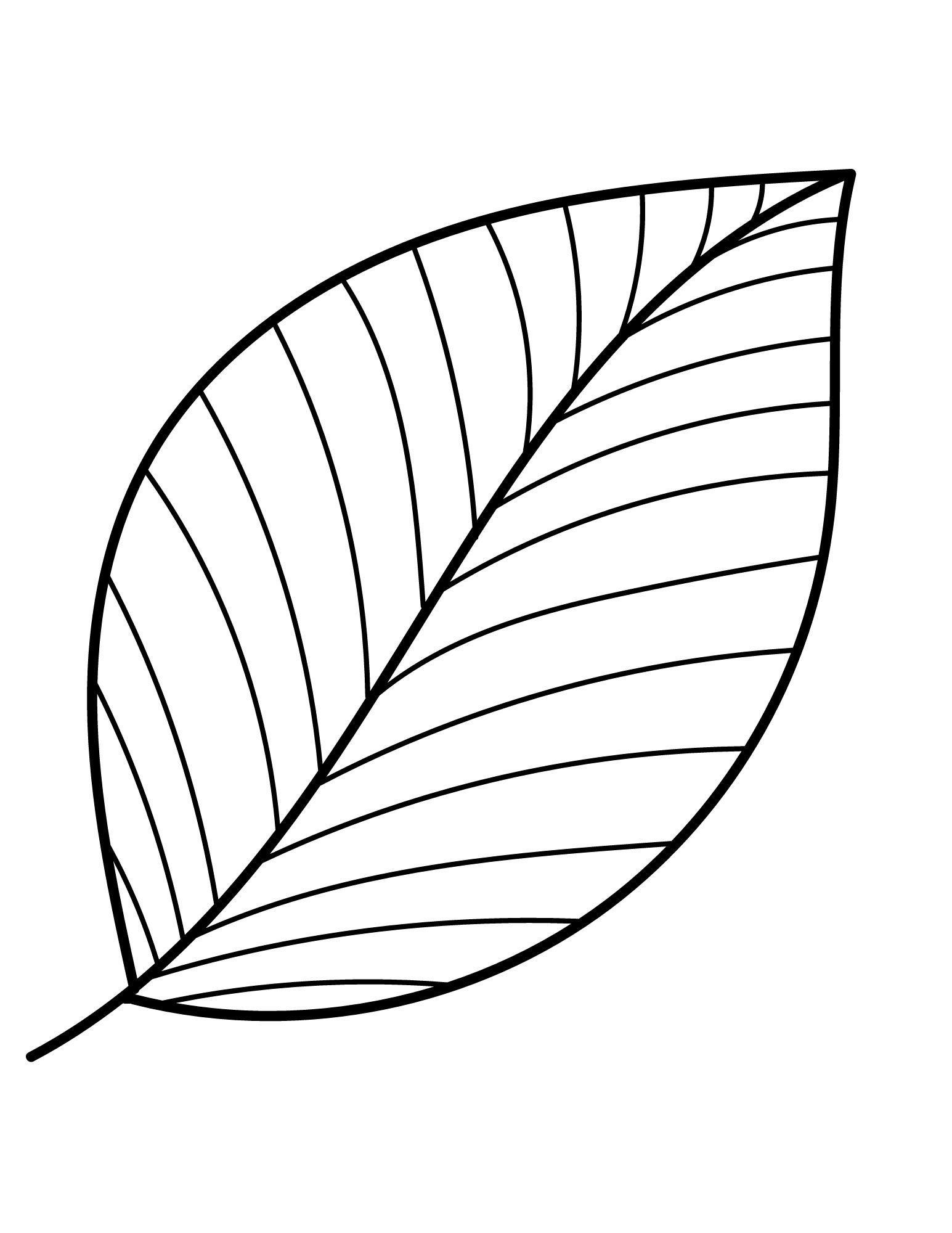 Maple Leaf Template Free Printable