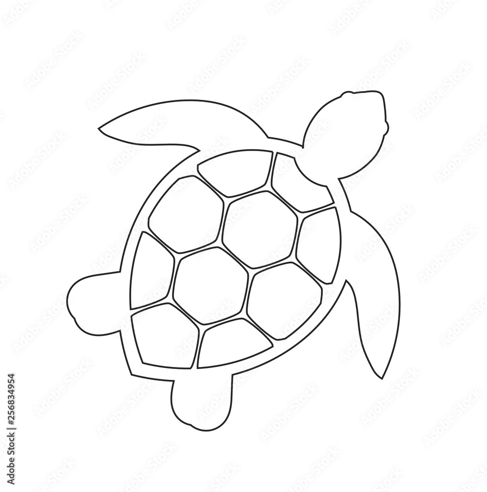 Sea Turtle Line Icon Stock Vector Adobe Stock