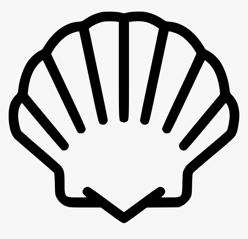 Seashell Clam Shell Printable Template HD Png Download Kindpng