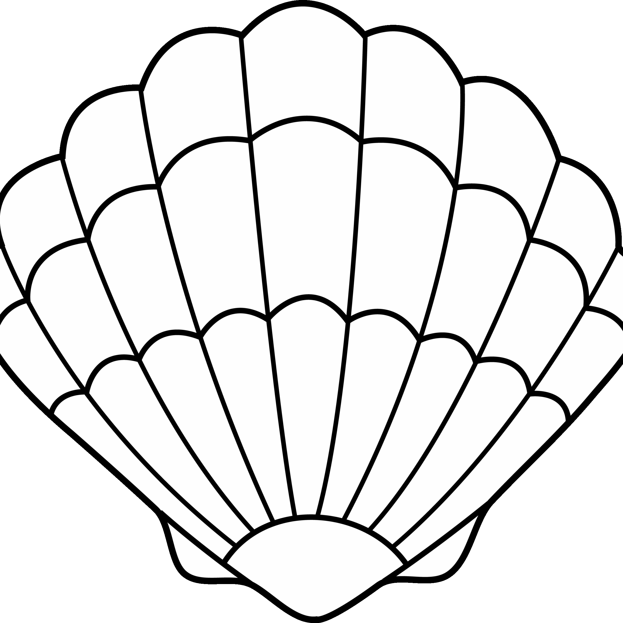 Seashell Clipart Seashell Lineart Free Clip Art Clip Seashell Template Free Printable 3000x3000 Png Clipart Download