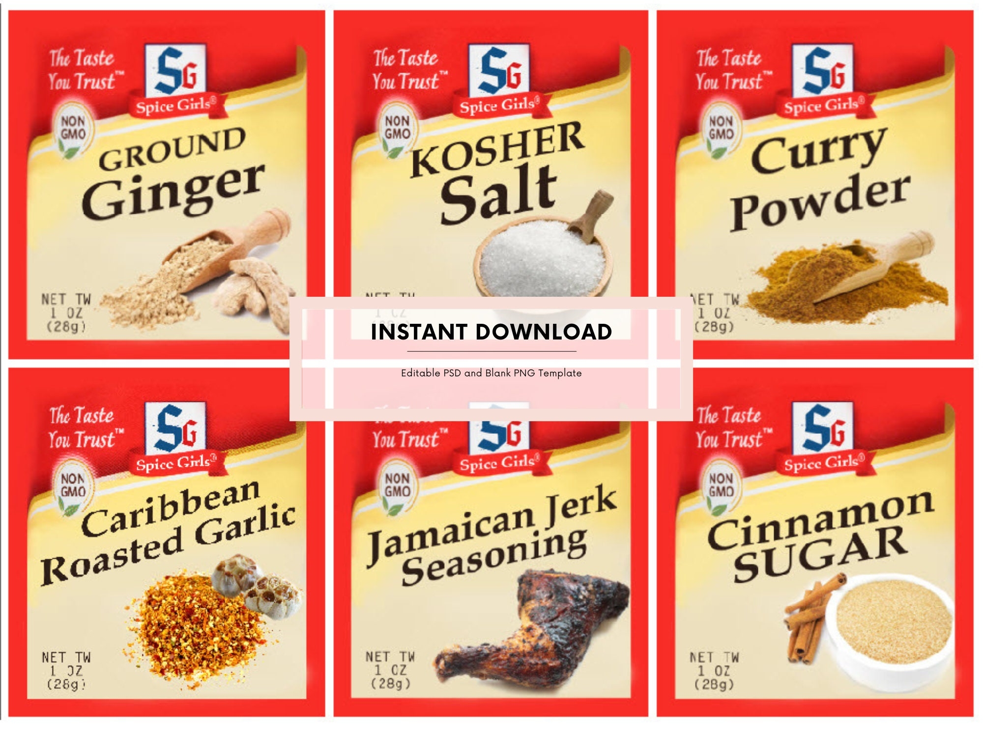 Spice Girls Halloween Costume Template Instant Download 