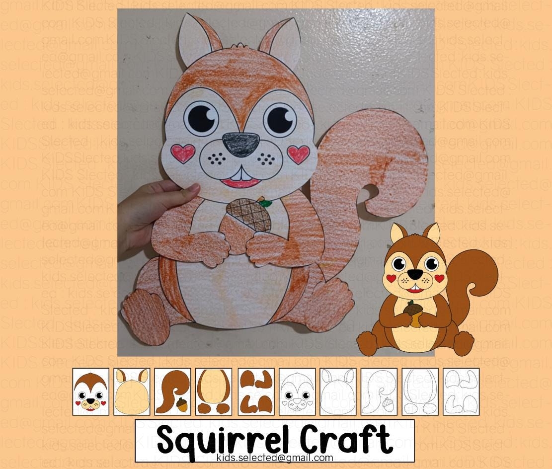 Squirrel Outlet Bulletin Board