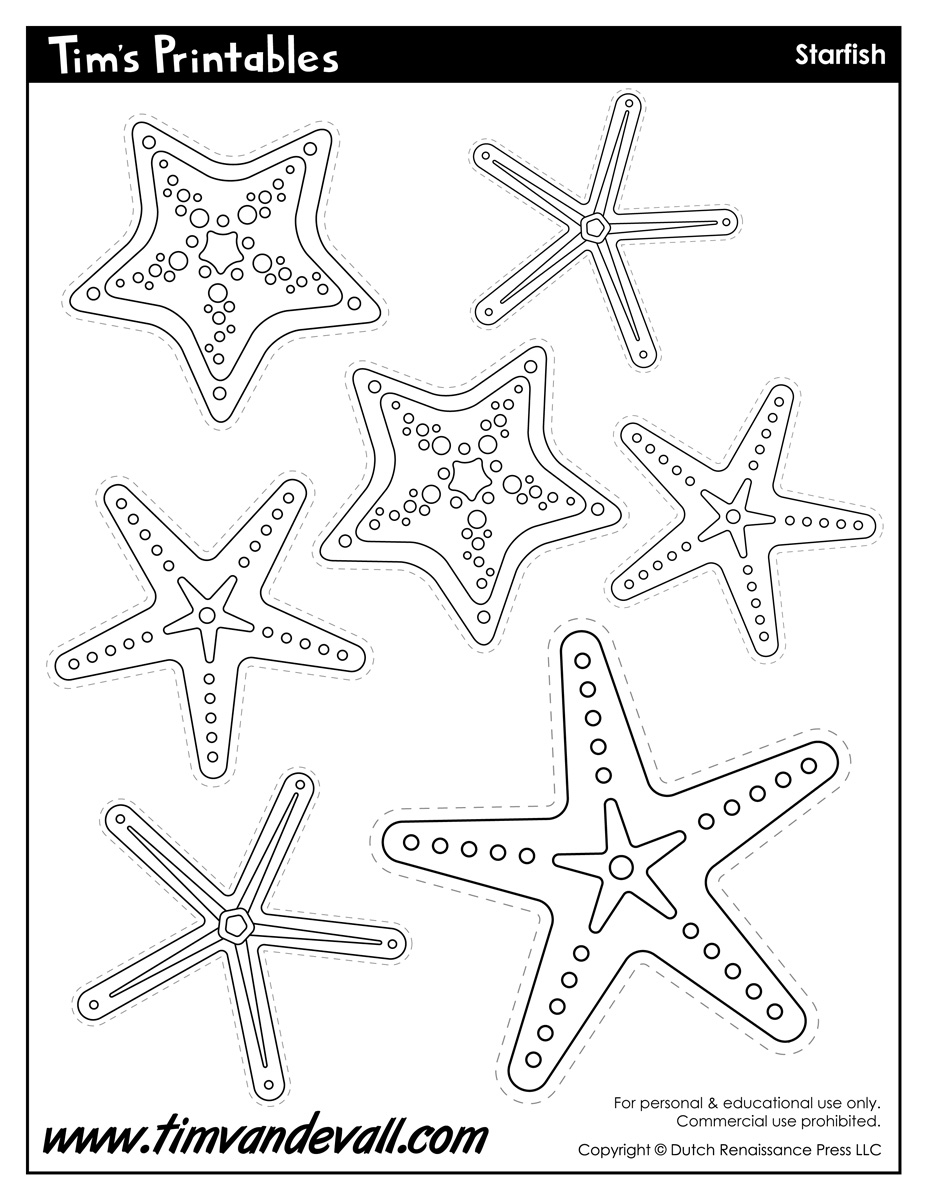 Starfish Template Sea Star Templates For Preschool Art