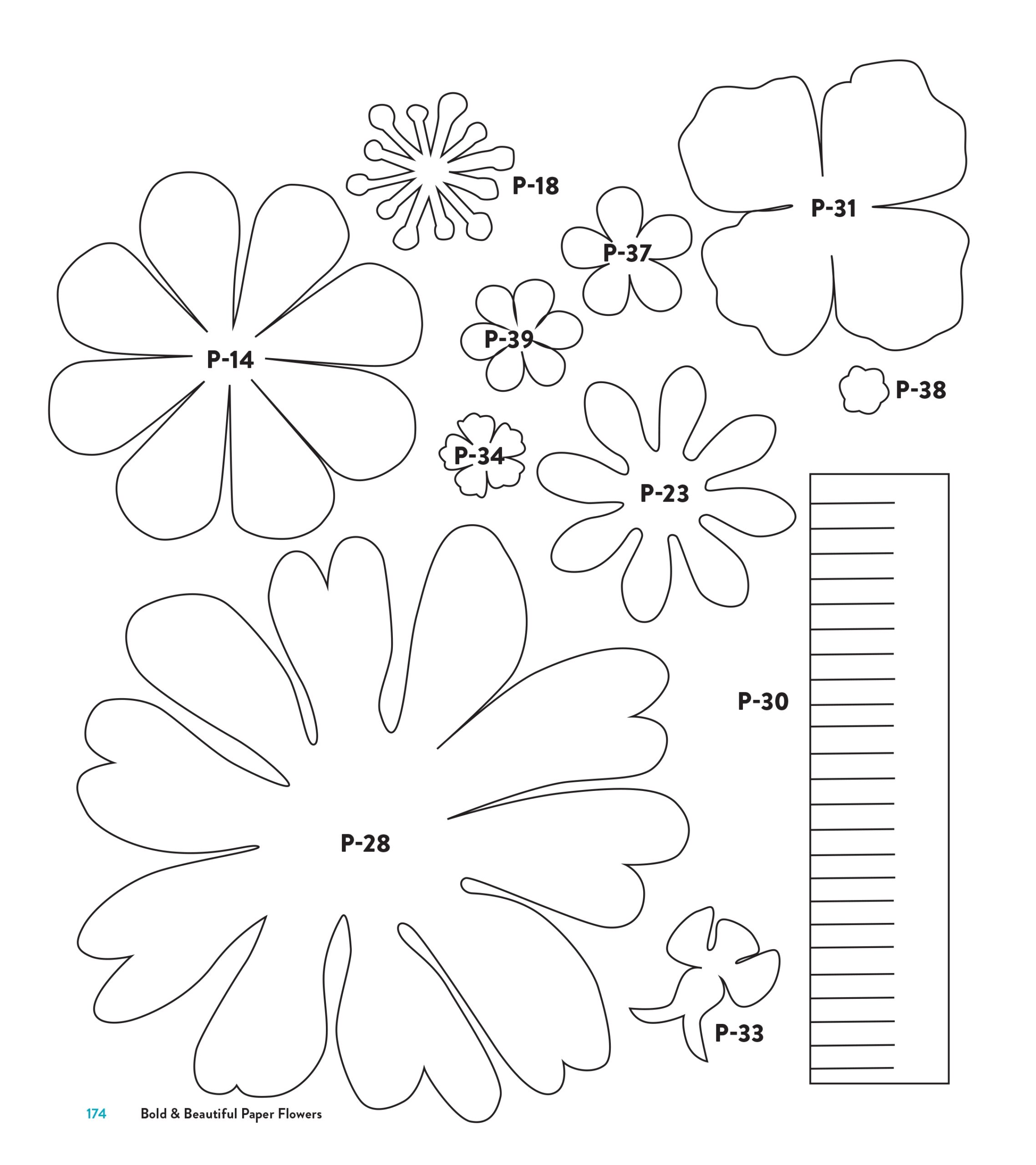 Daisy Template Free Printable Daisy Template Free Printable