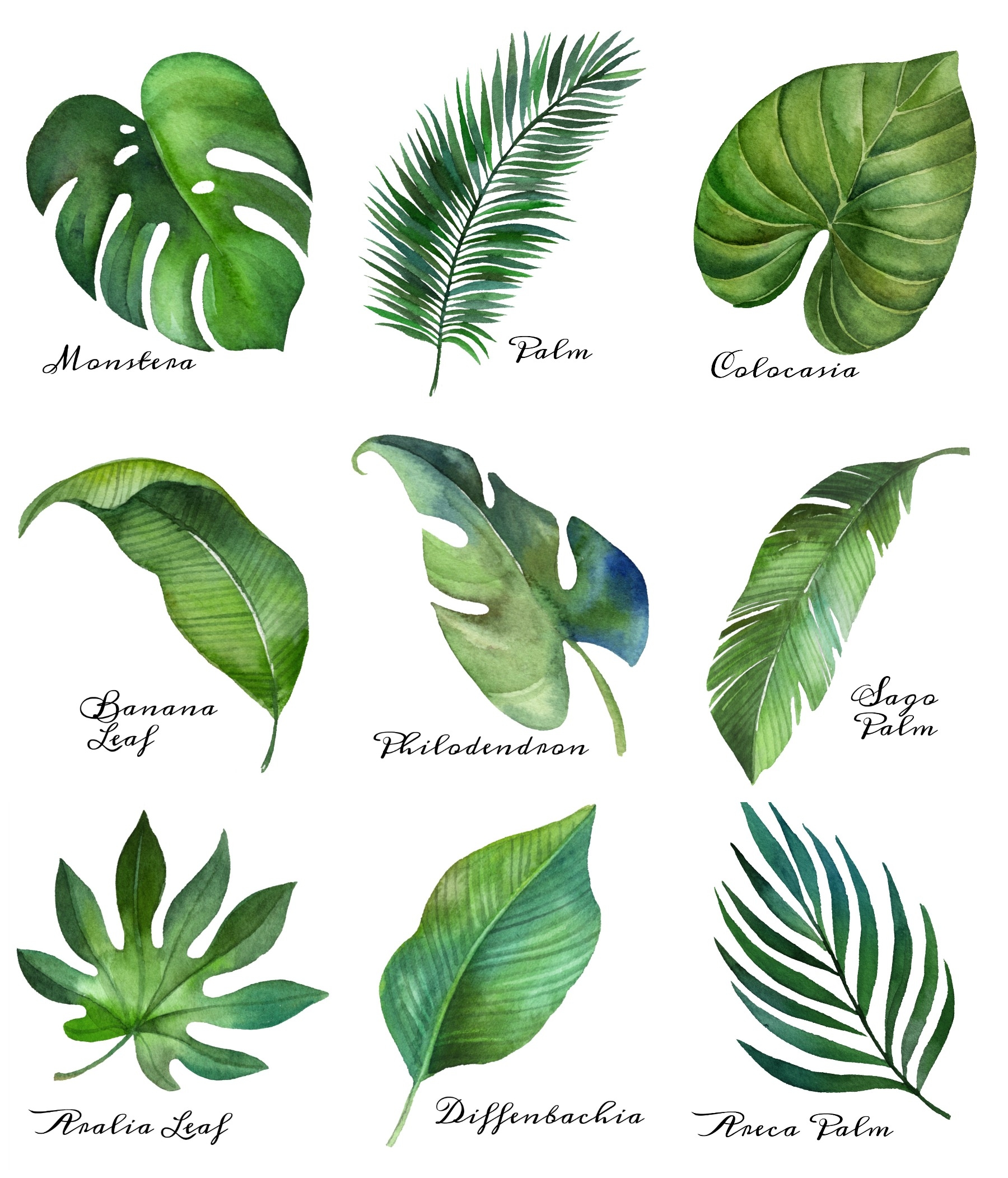 Tropical Leaf Free Printable Art Series Of 9 The Happy Housie Tropical Leaf Free Printable Art Series Of 9 The Happy Housie