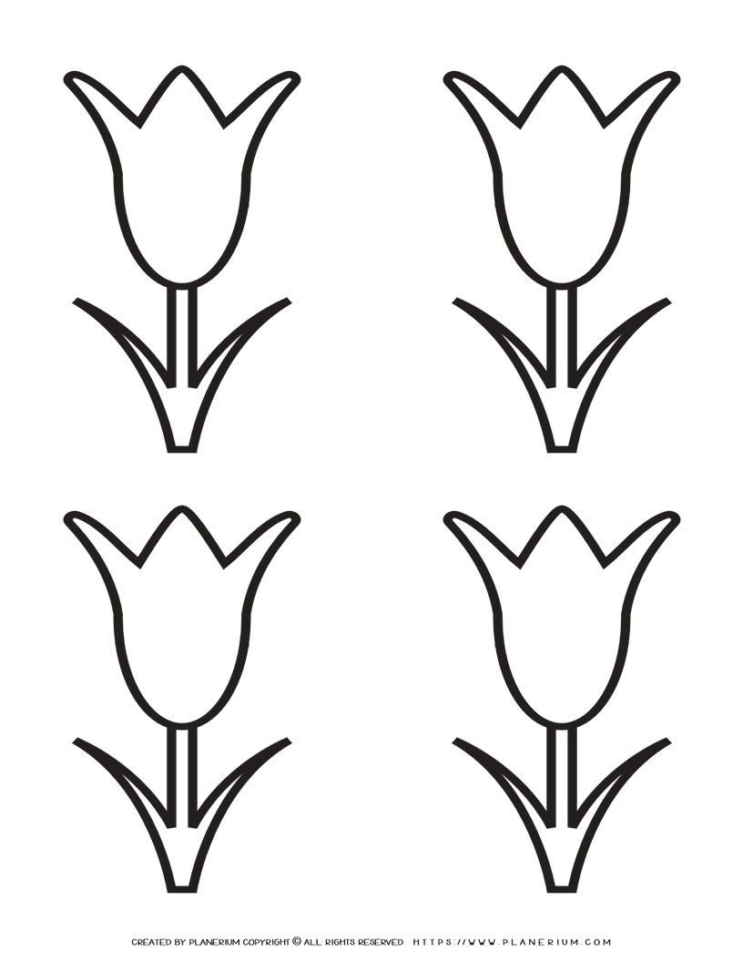 Tulip Template Printable Free Coloring Crafts Classroom Or Home Activities
