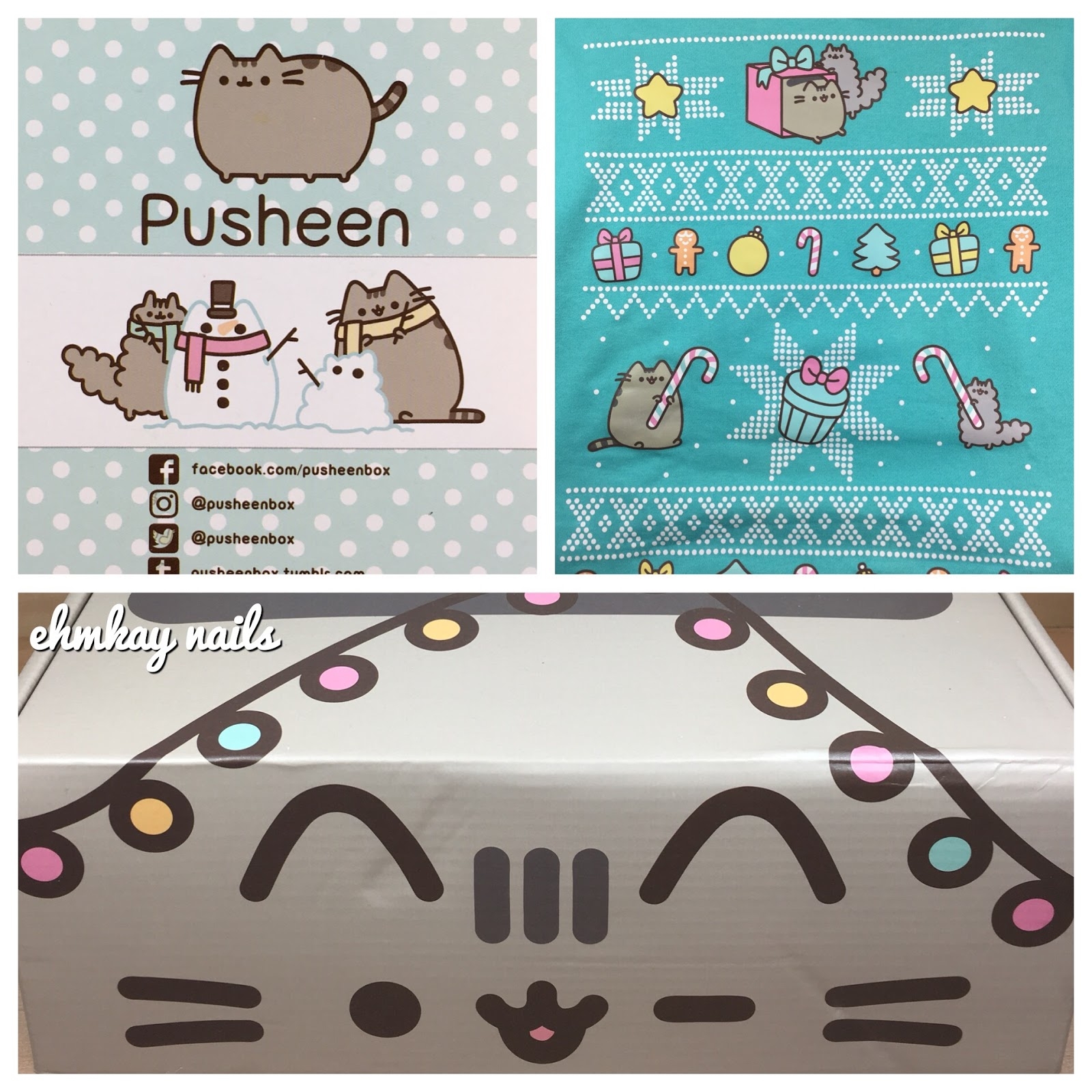 Ehmkay Nails Winter Pusheen Box Unboxing And Thoughts