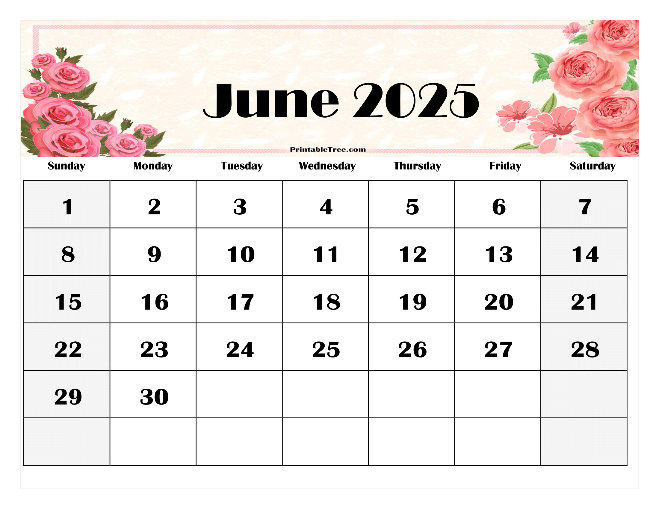 Pink June 2025 Calendar Pink June 2025 Calendar