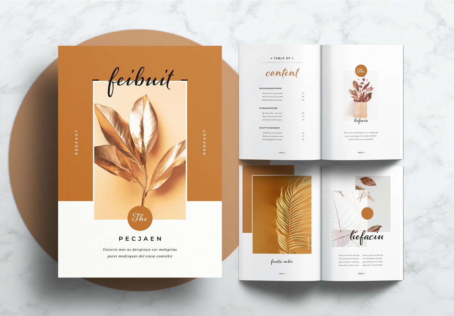 Free Printable Portfolio Templates Free Printable Portfolio Templates