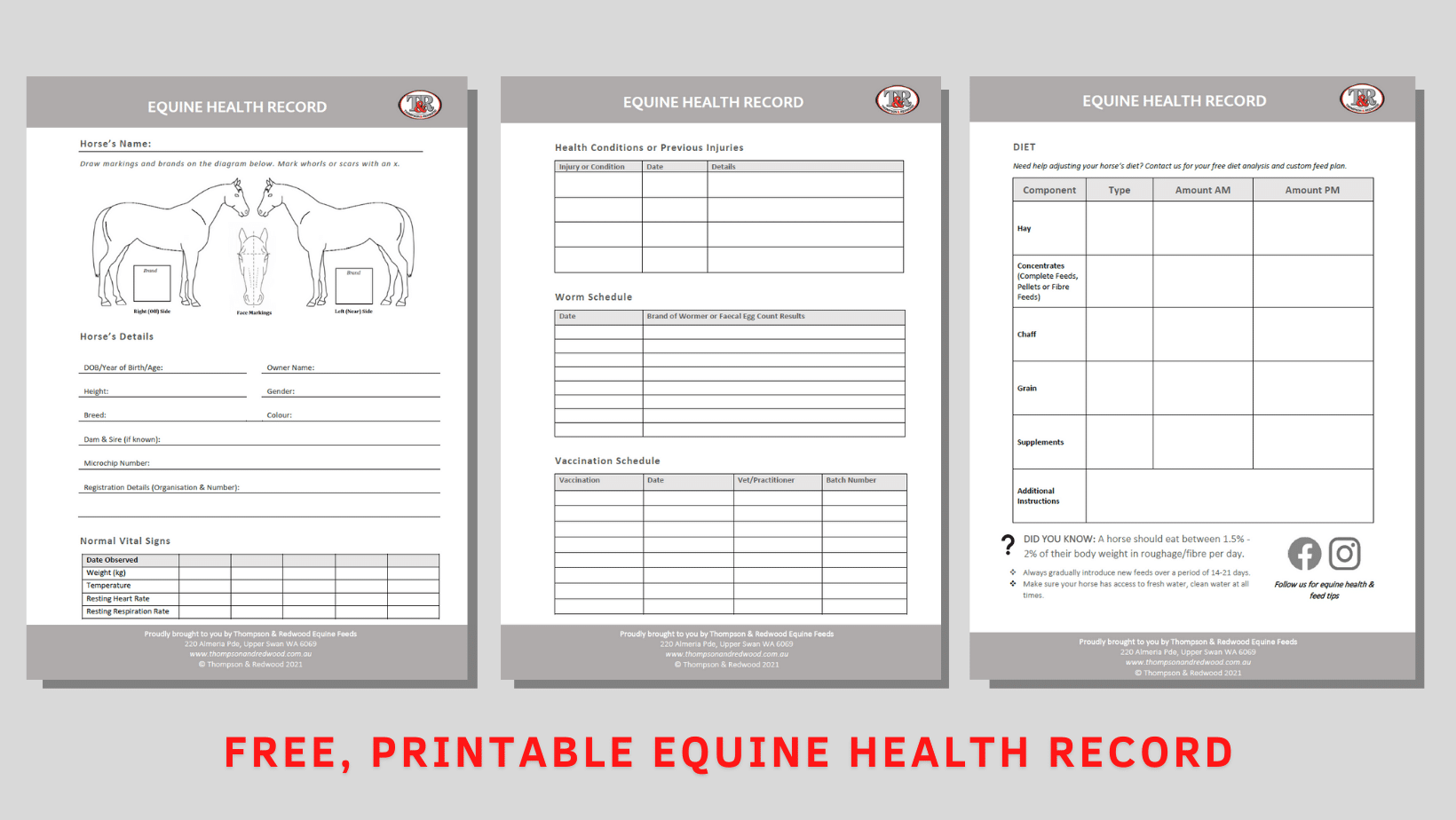 Free Printable Record Keeper Templates Free Printable Record Keeper Templates