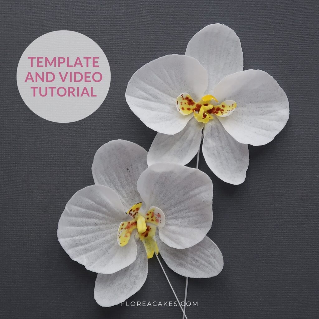 How To Make Wafer Paper Orchids Florea Cakes