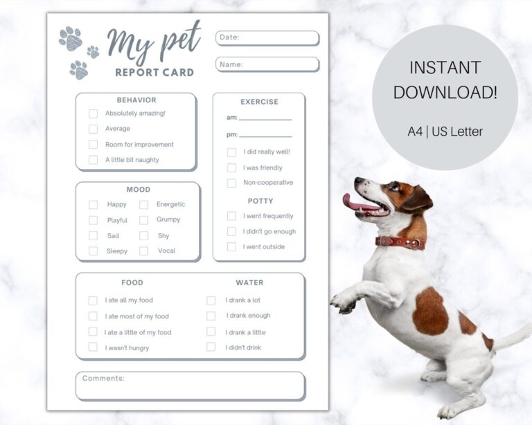 Pet Report Card Printable Pet Sitter Form Dog Walker Report Form Pet Sitter Form Dog Report Card Pet Sitting Dog Care Report Card Etsy