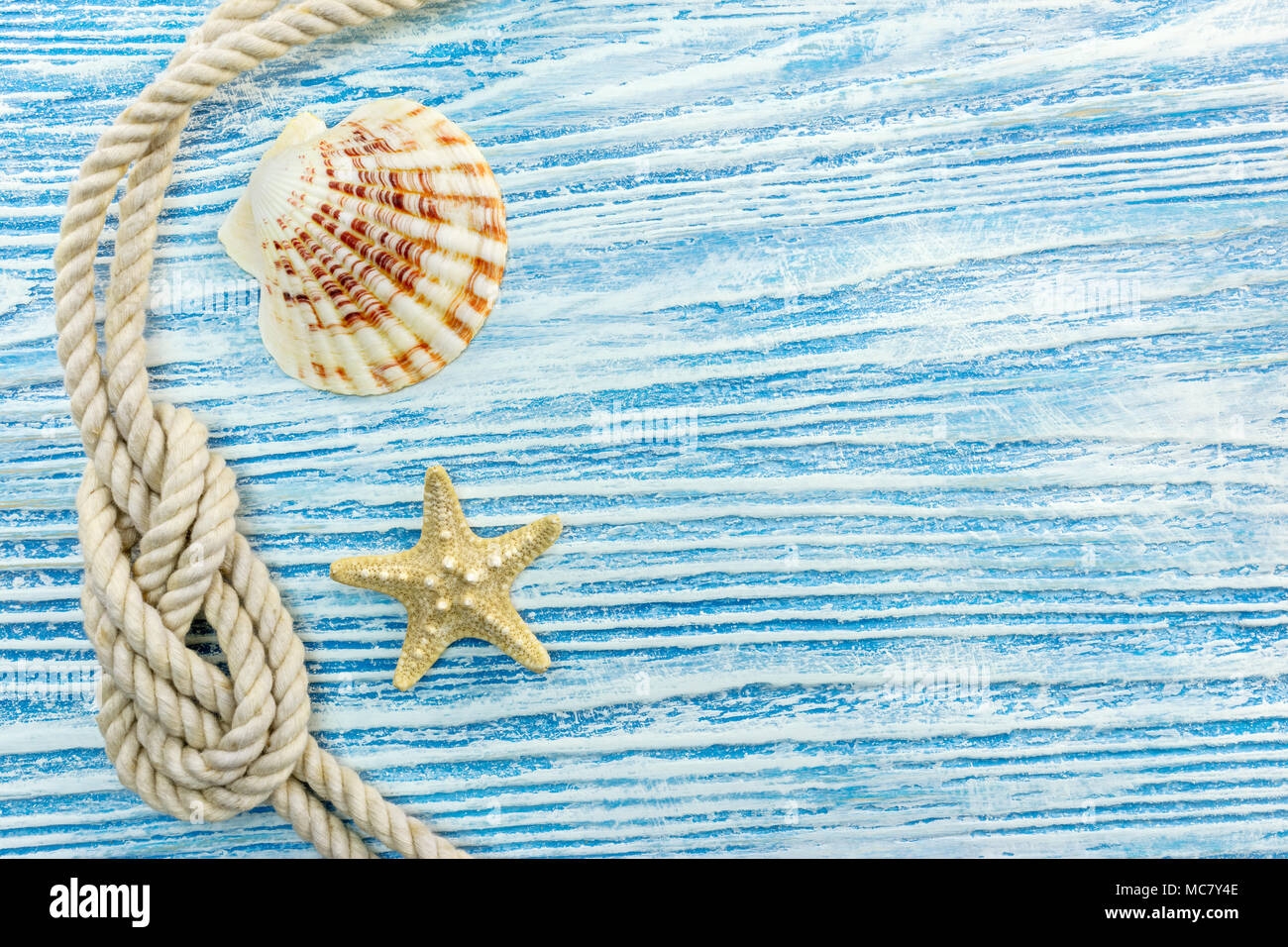 Seashell Theme Hi res Stock Photography And Images Alamy Seashell Theme Hi res Stock Photography And Images Alamy
