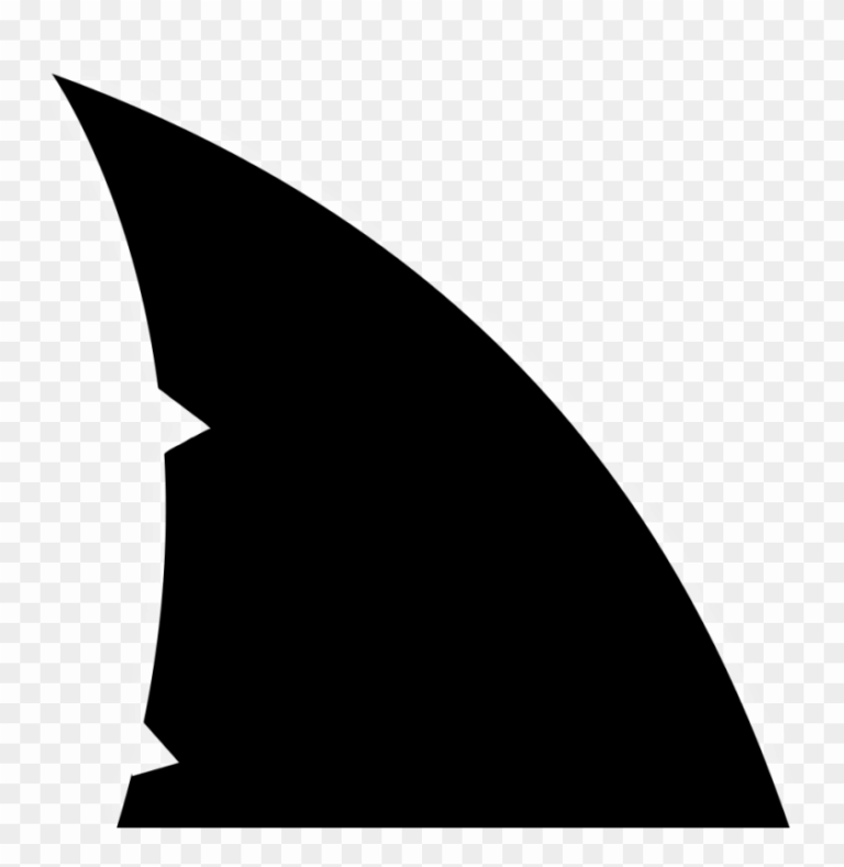 Shark Fin Homepage Clip Art Clipart Shark Fin Clip Art Free 