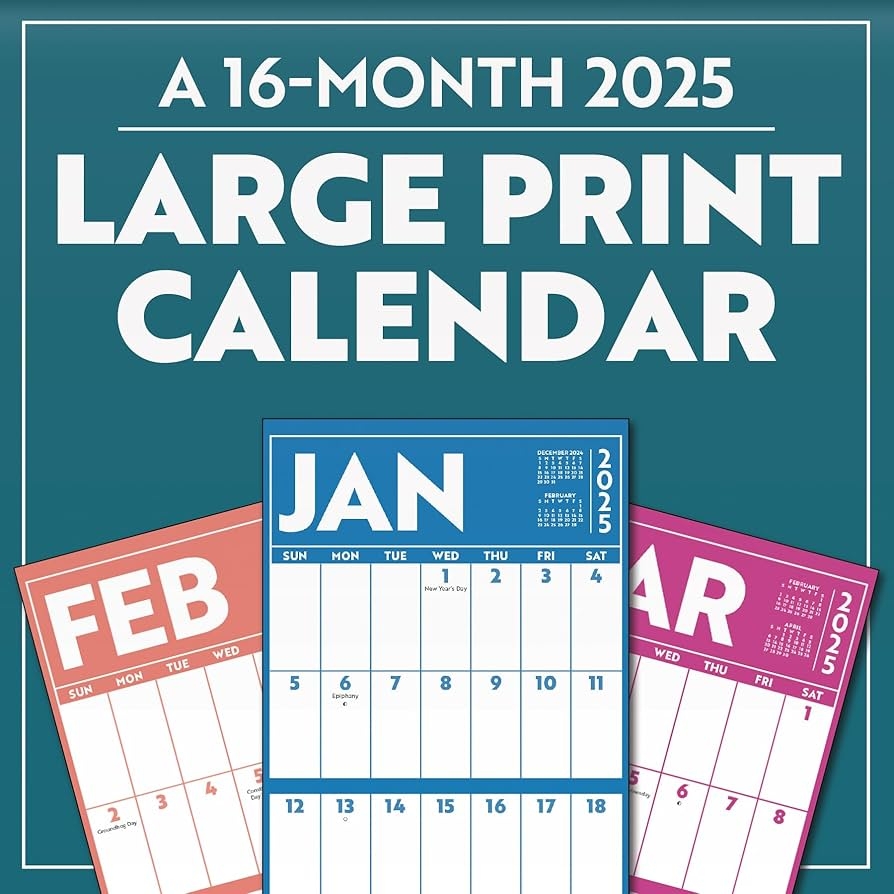 2025 Large Print Mini Wall Calendar Trends International Amazon de Books