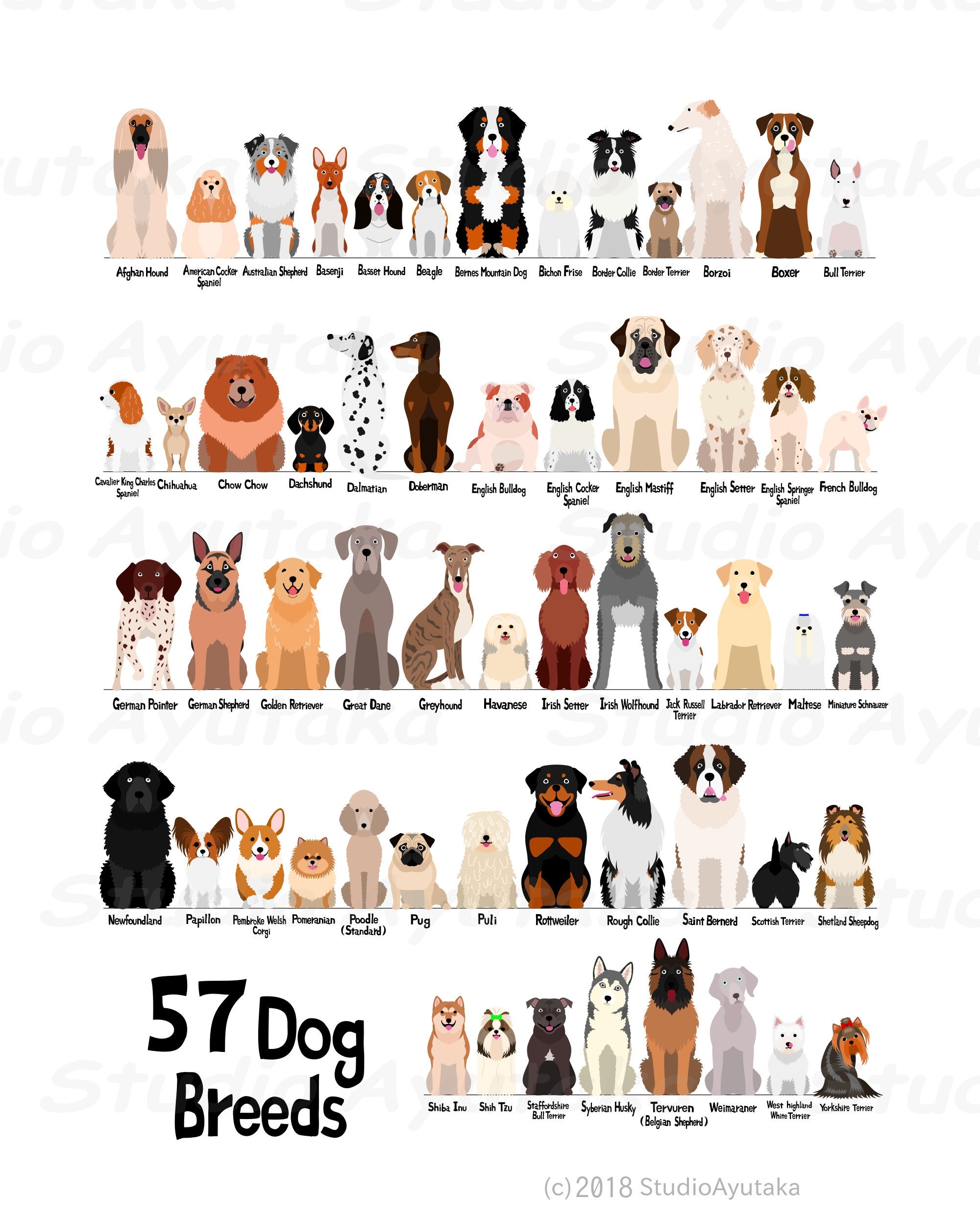 57 Breeds Of Dog Digital Chart Svg Jpg Png 16 20 Etsy