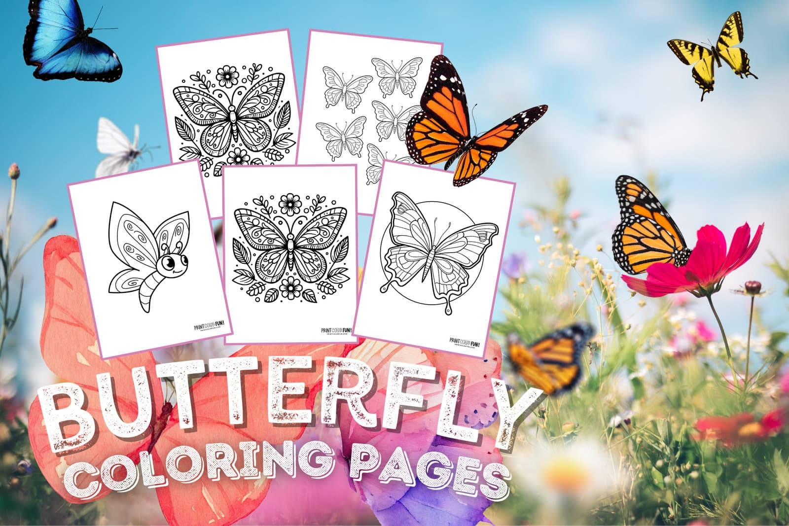 Butterfly Coloring Sheet Printable
