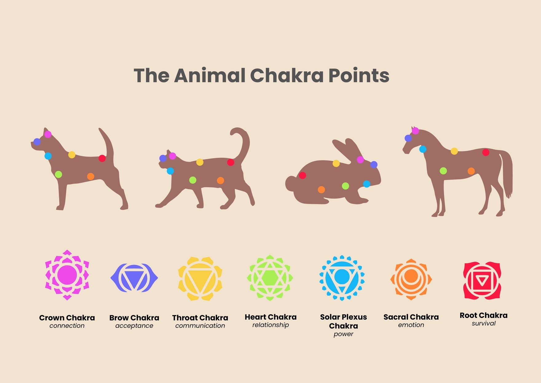 7 Chakra Animal Pet Chart In Illustrator PDF Download Template 7 Chakra Animal Pet Chart In Illustrator PDF Download Template