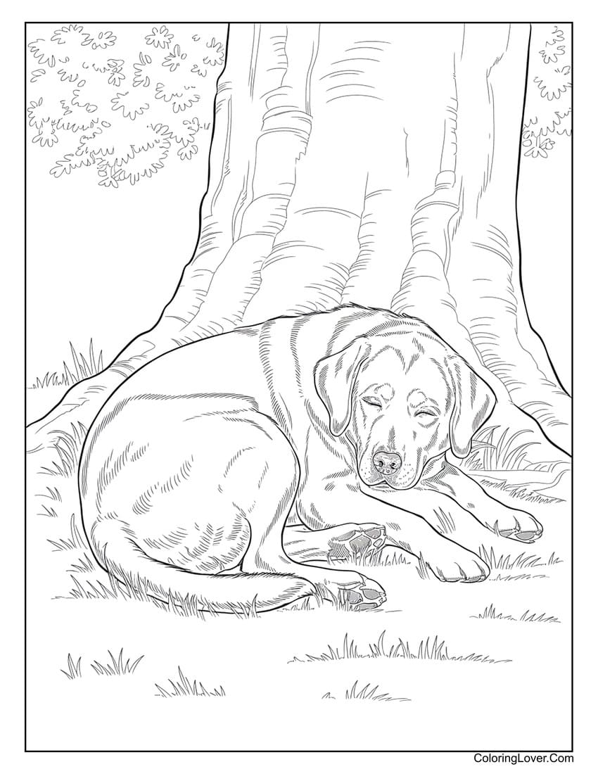 Dog Coloring Sheets Free Printable