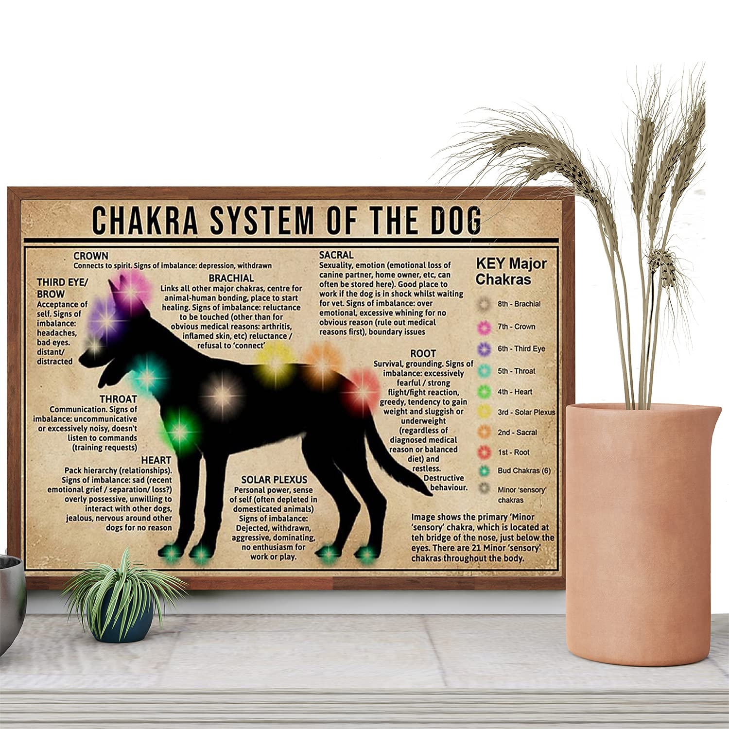Anatomical Dog Knowledge Printing Chakra Chart Of Body Dog Parts Wall Art Chakra System Of The Dog Poster Dog Anatomy Chart Poster NO FRAME 24x36in Poster Amazon co uk Home Kitchen Anatomical Dog Knowledge Printing Chakra Chart Of Body Dog Parts Wall Art Chakra System Of The Dog Poster Dog Anatomy Chart Poster NO FRAME 24x36in Poster Amazon co uk Home Kitchen