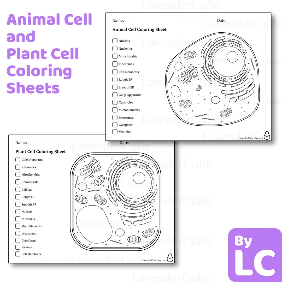 Printable Cell Worksheets