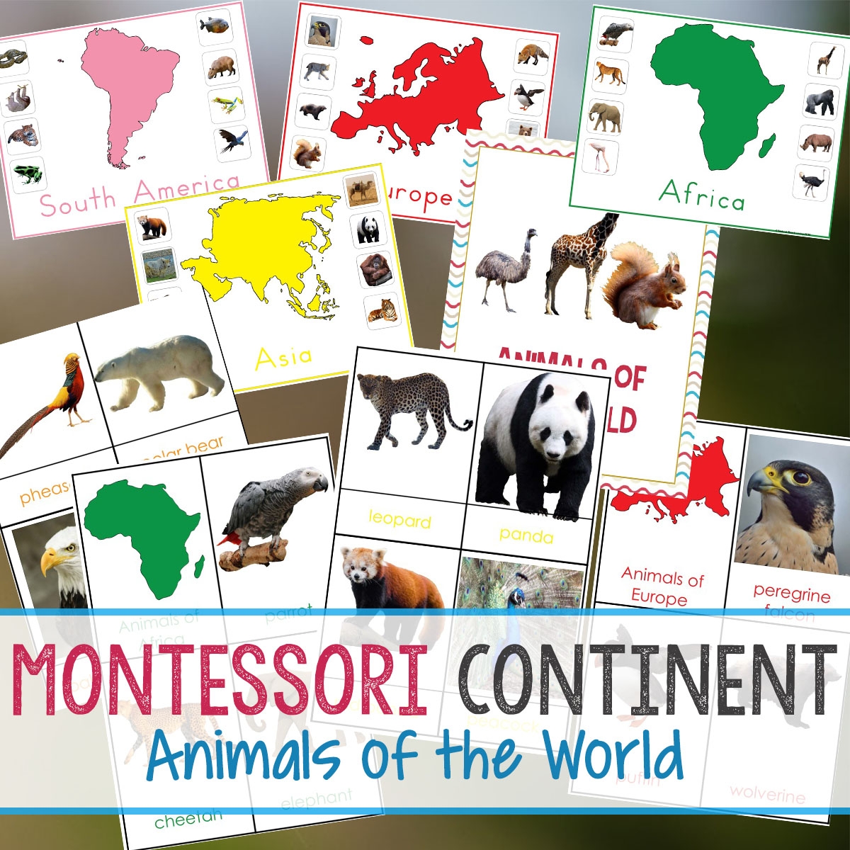 Animals And Continents Printables Natural Beach Living
