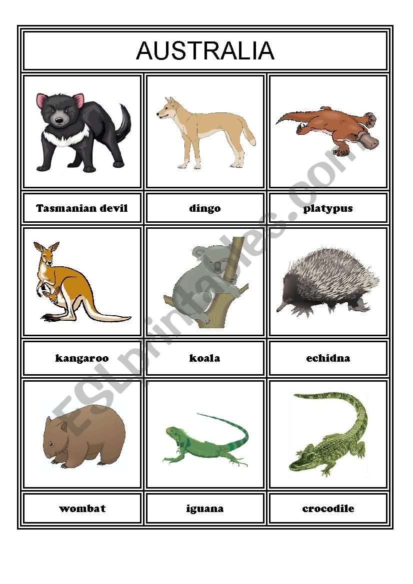 Animals From Different Continents Part 4 Australia And Antarctica The Arctic ESL Worksheet By Paoldak