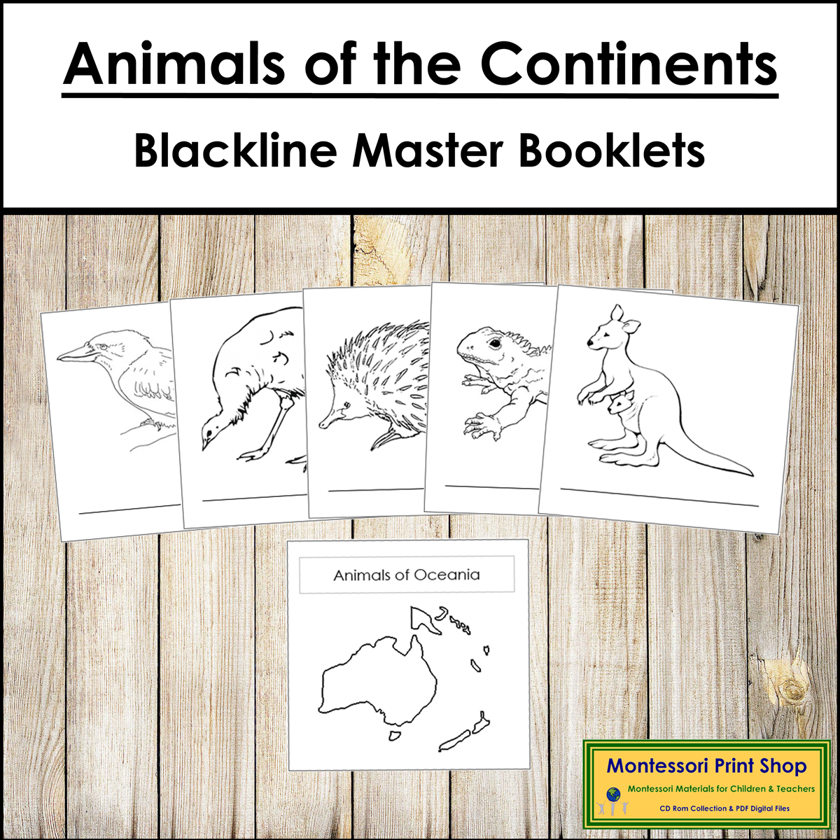 Animals Of The Continents Booklets Blackline Masters Made By Teachers